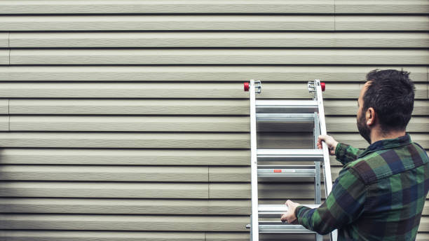 Best Brick Veneer Siding  in Clawson, MI